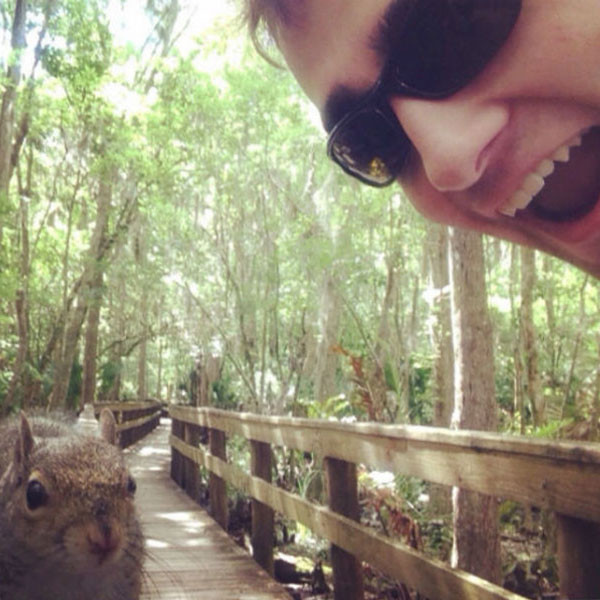Squirrel Attack Squirrel Attack